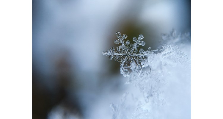 降溫了，這份健康指南，請(qǐng)轉(zhuǎn)給你關(guān)心的人！